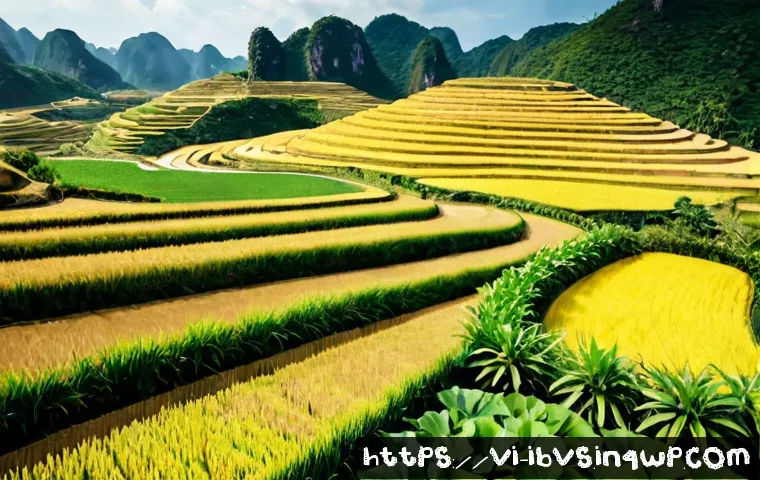 Quản trị rủi ro khi đầu tư: Cách dùng nghiên cứu để chọn công cụ và phân bổ vốn hợp lý 4 리스크 관리 투자와 리서치 관련 이미지 2